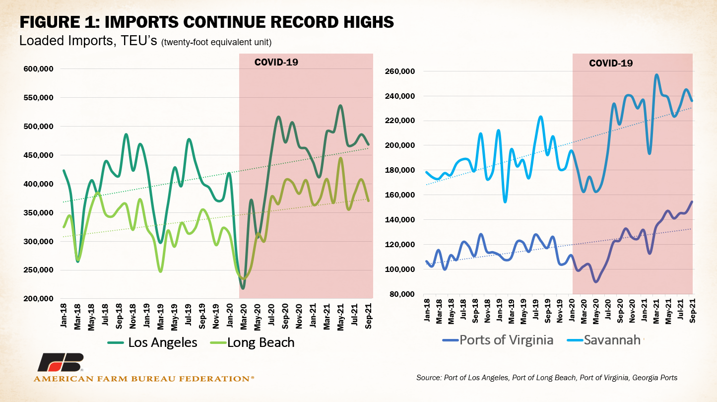 Widespread port congestion threatens farm exports